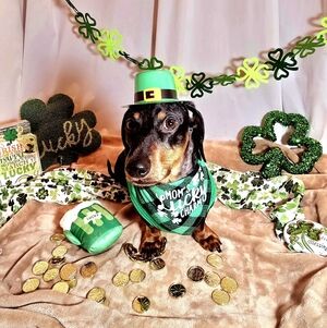 Meet your Posher, Cristina